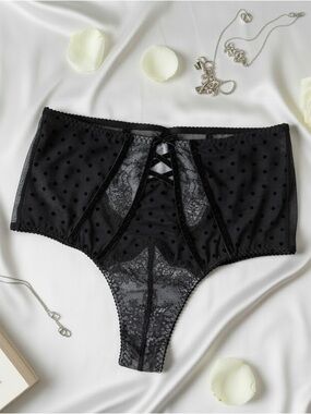 VICTORIA’S SECRET Black Lace High Waist Sheer Panties Lingerie Very Sexy M Mesh